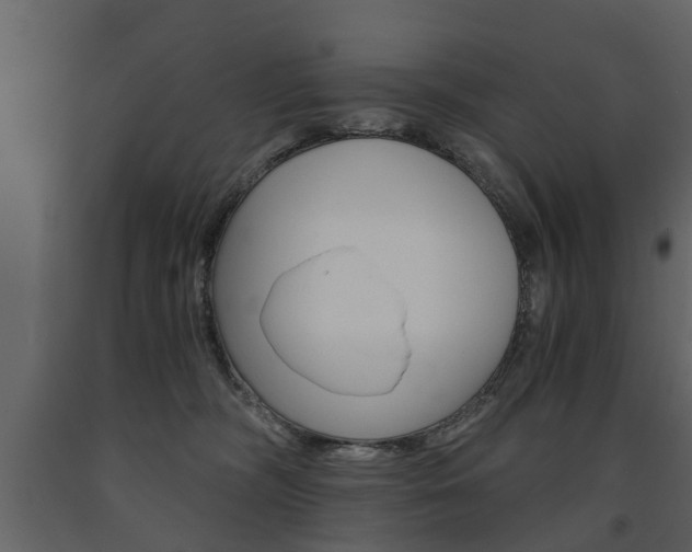 X0000091680326200708231113