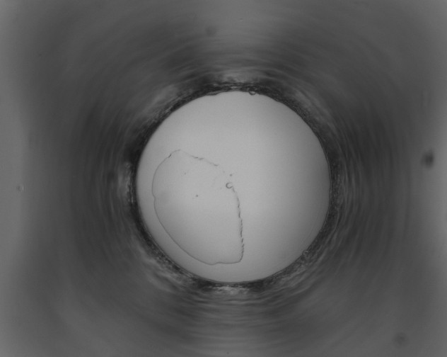 X0000091680328200708231113