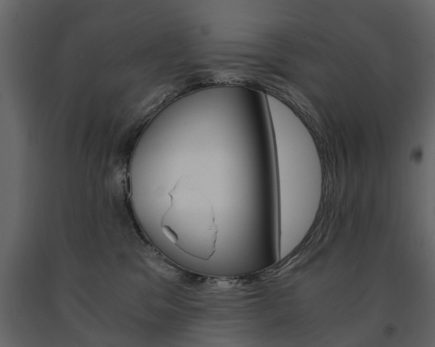 X0000091680329200708231113