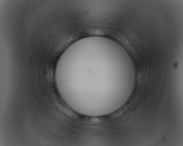 X0000091680330200708231113