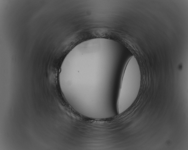 X0000091680332200708231113
