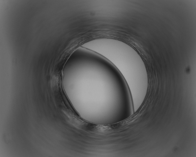 X0000091680333200708231113
