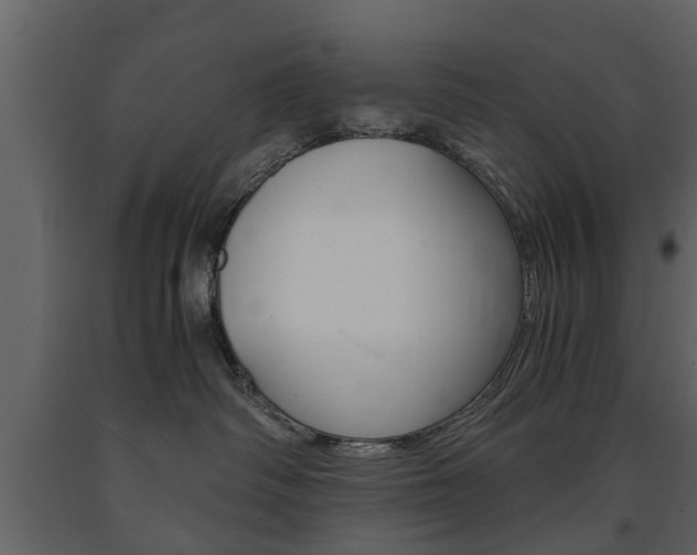 X0000091680334200708231113