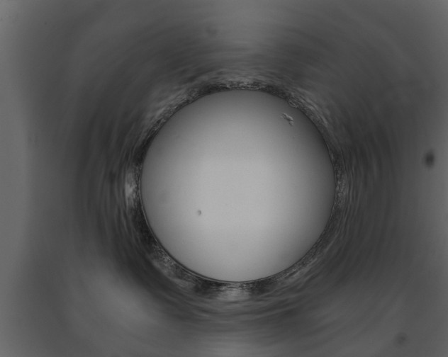 X0000091680335200708231113