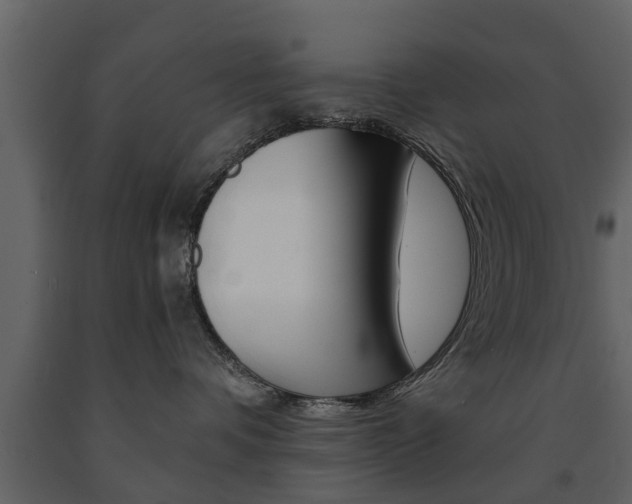 X0000091680336200708231113