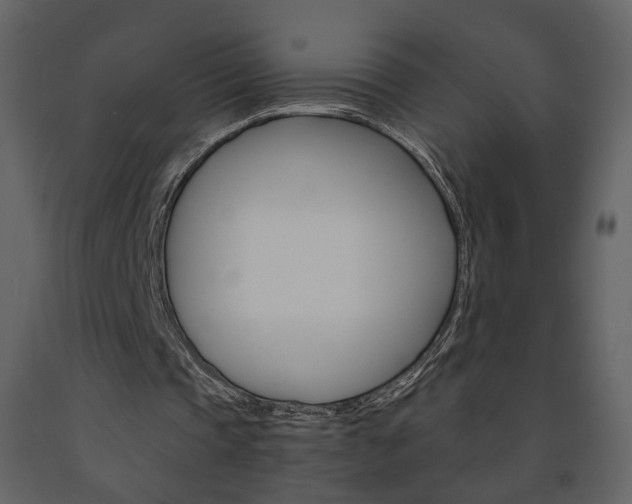 X0000091680337200708231113