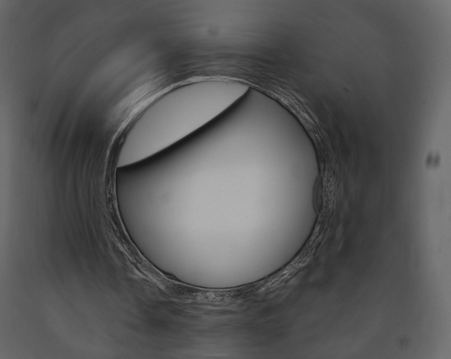 X0000091680338200708231113