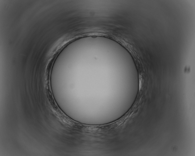 X0000091680339200708231113