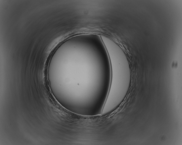 X0000091680340200708231113