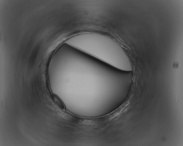 X0000091680341200708231113