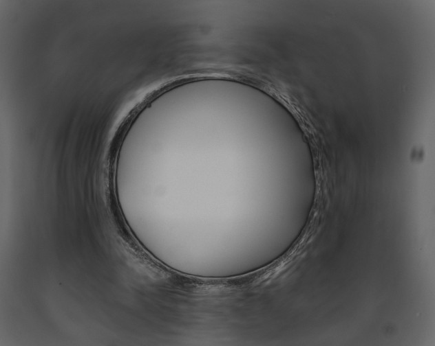 X0000091680342200708231113