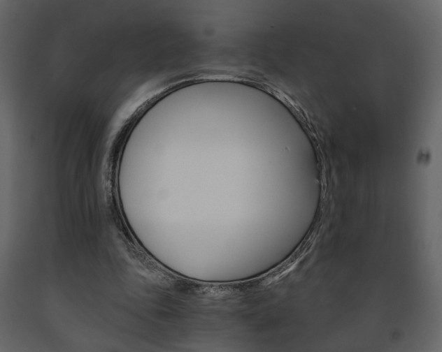 X0000091680343200708231113