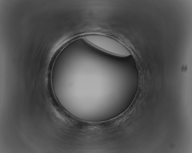 X0000091680344200708231113