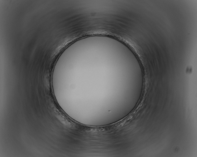 X0000091680345200708231113