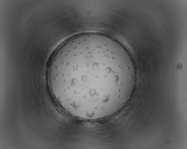 X0000091680346200708231113
