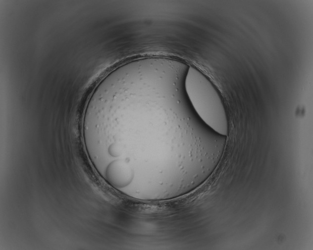 X0000091680347200708231113