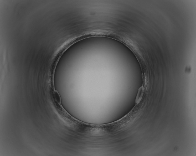 X0000091680348200708231113