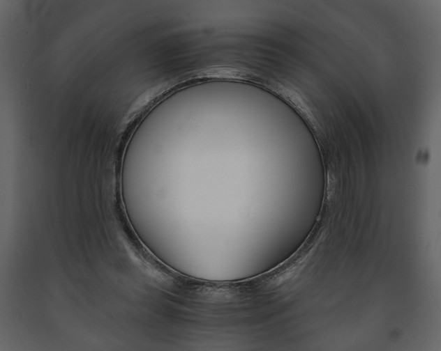 X0000091680349200708231113