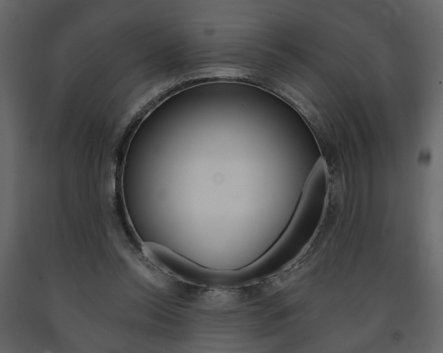 X0000091680350200708231113