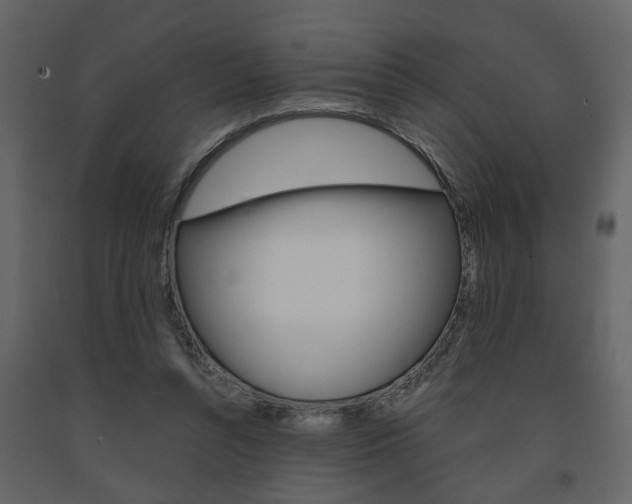 X0000091680352200708231113