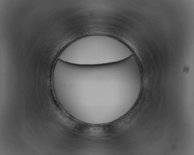 X0000091680353200708231113