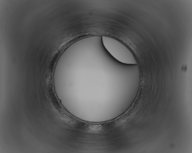X0000091680355200708231113