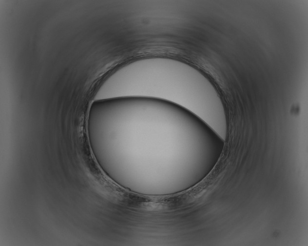 X0000091680356200708231113