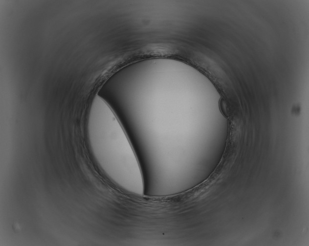 X0000091680358200708231113
