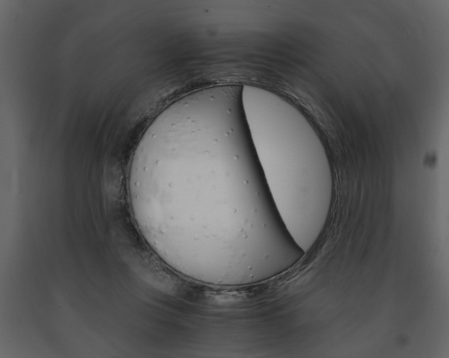 X0000091680359200708231113