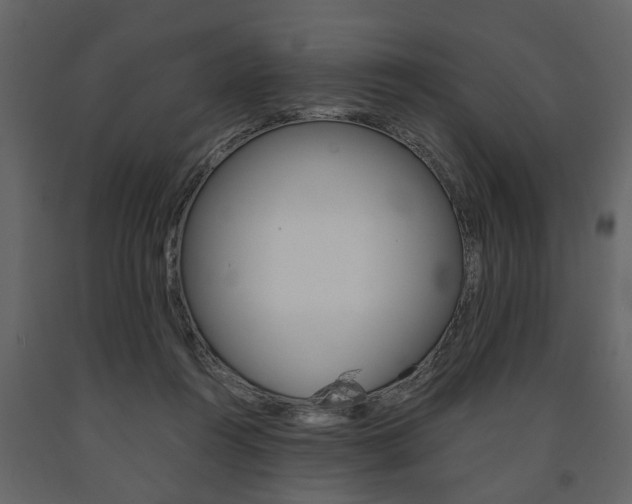 X0000091680360200708231113
