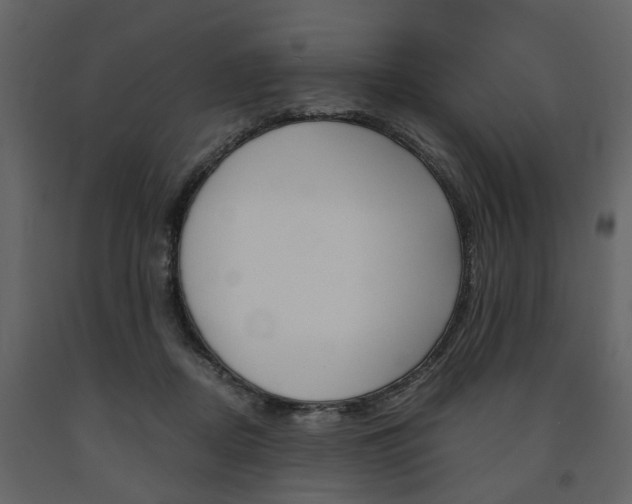 X0000091680362200708231113