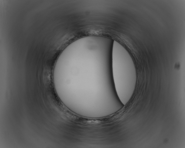 X0000091680363200708231113