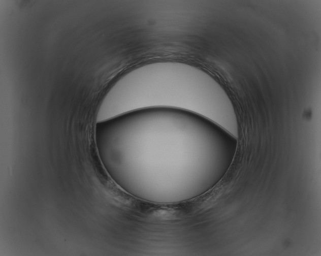X0000091680364200708231113