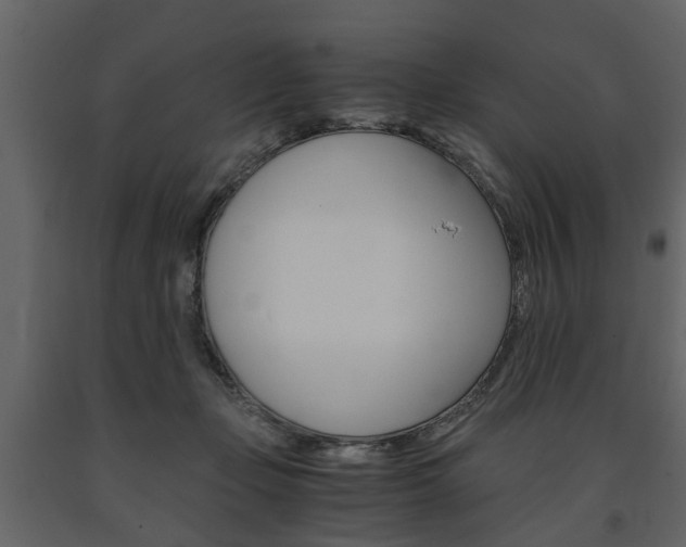 X0000091680365200708231113