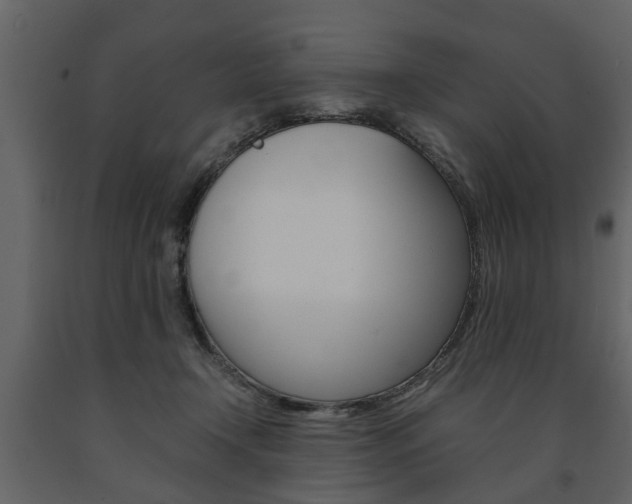 X0000091680366200708231113