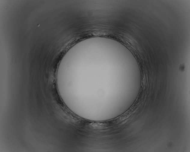 X0000091680367200708231113