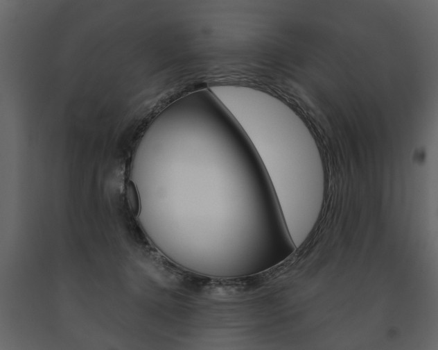X0000091680368200708231113