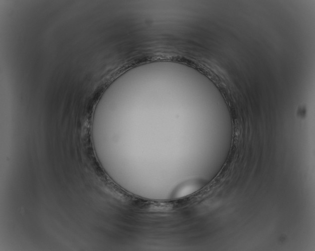 X0000091680369200708231113