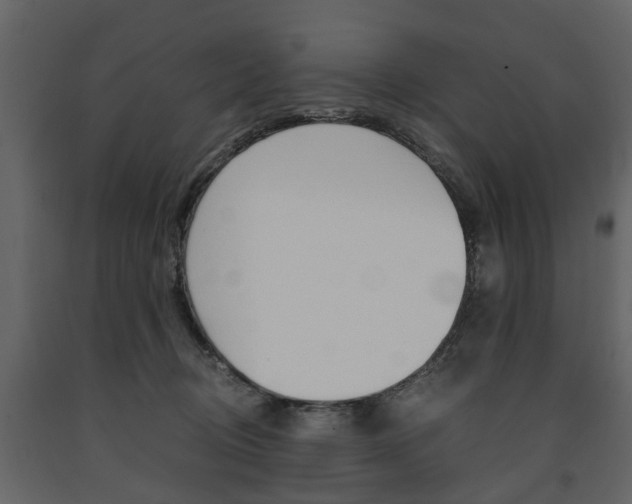 X0000091680370200708231113