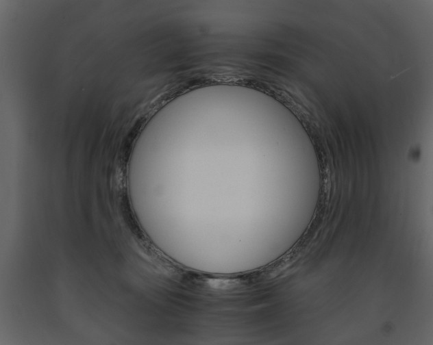 X0000091680371200708231113
