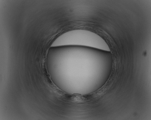 X0000091680372200708231113