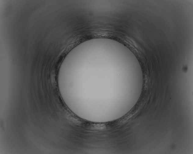 X0000091680377200708231113
