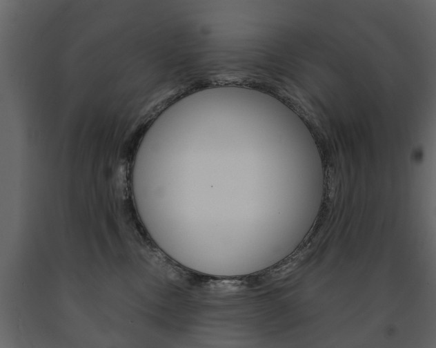 X0000091680378200708231113