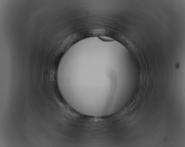 X0000091680379200708231113