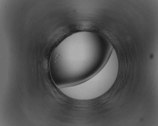 X0000091680380200708231113