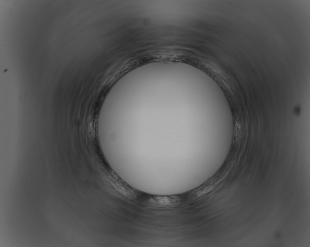 X0000091680381200708231113