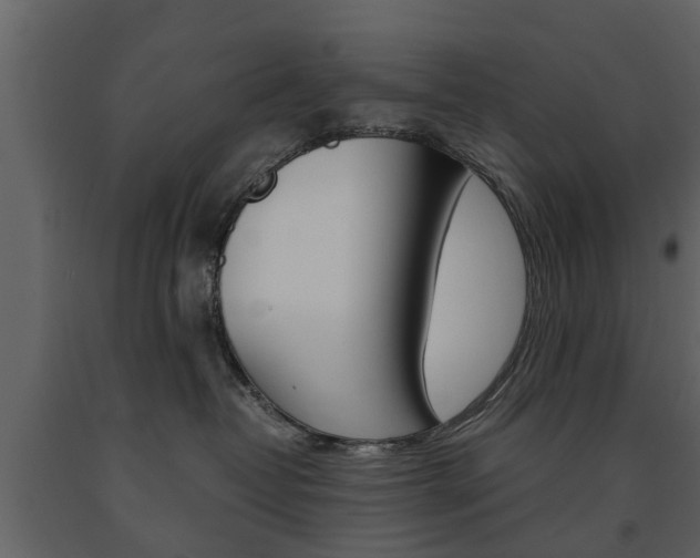 X0000091680382200708231113