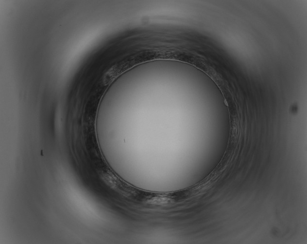 X0000091680383200708231113