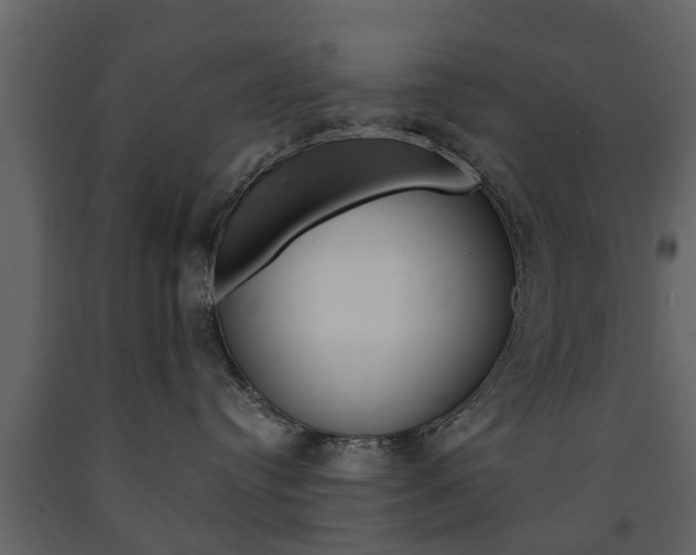 X0000091680384200708231113