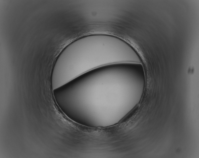 X0000091680385200708231113